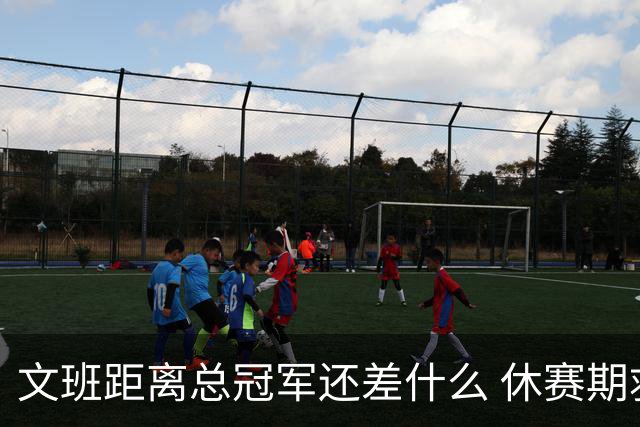 文班距离总冠军还差什么 休赛期救赎从增重开始？